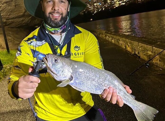 Mulloway in Sydney Harbour NSW, Australia