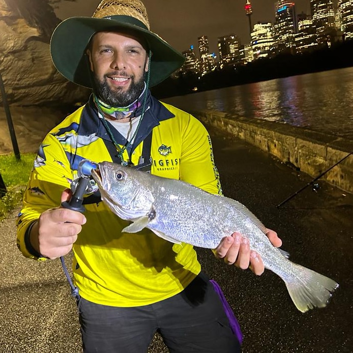 Mulloway in Sydney Harbour NSW, Australia Sark's Total Fishing