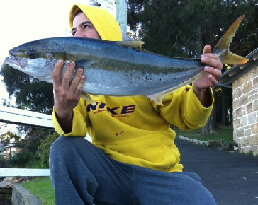 Catching Kingfish never gets old!