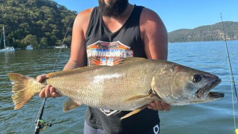 "I Finally DID IT!" 102cm Mulloway!