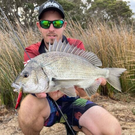 Bream2