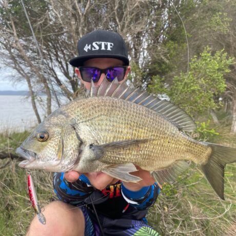 Bream22