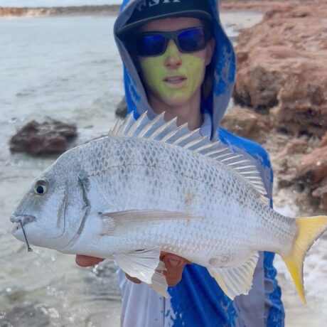 Gib3